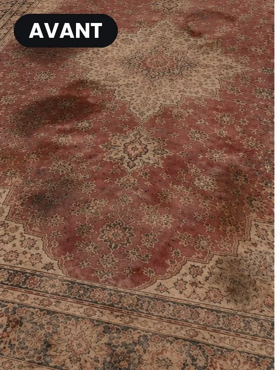 Tapis persan taché avant nettoyage à domicile